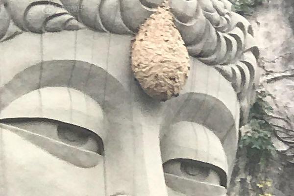 剖析被動(dòng)式反響是蠕蟲病毒發(fā)生的真實(shí)原因