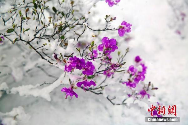 樊振東、孫穎莎奪世乒賽男女單冠軍 中國隊包攬五冠