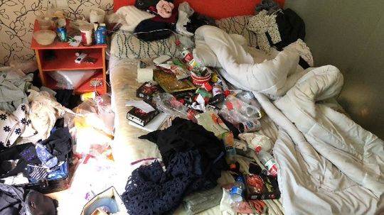 鵝霸模擬器中文免費最新版下載 v1.0