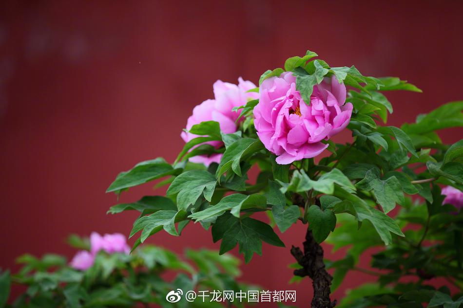 騰訊游戲渠道黑屏/白屏解決辦法