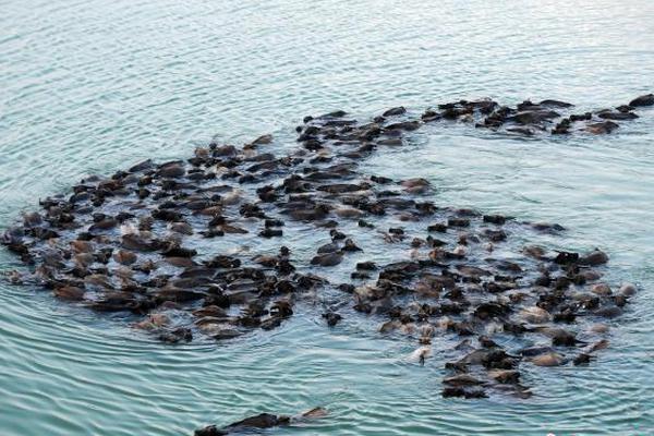 2023年好玩的冒險探究游戲引薦 二次元風(fēng)格的戰(zhàn)略冒險RPG手機游戲