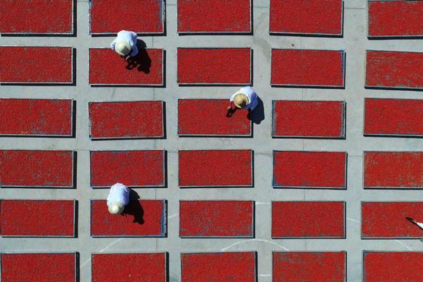 波特：沒有對自己的辦法斷送自傲 新援正在磨合踢英超