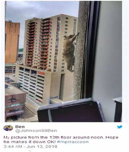 谷歌金山詞霸1.8發(fā)布 新增劃詞翻譯功用