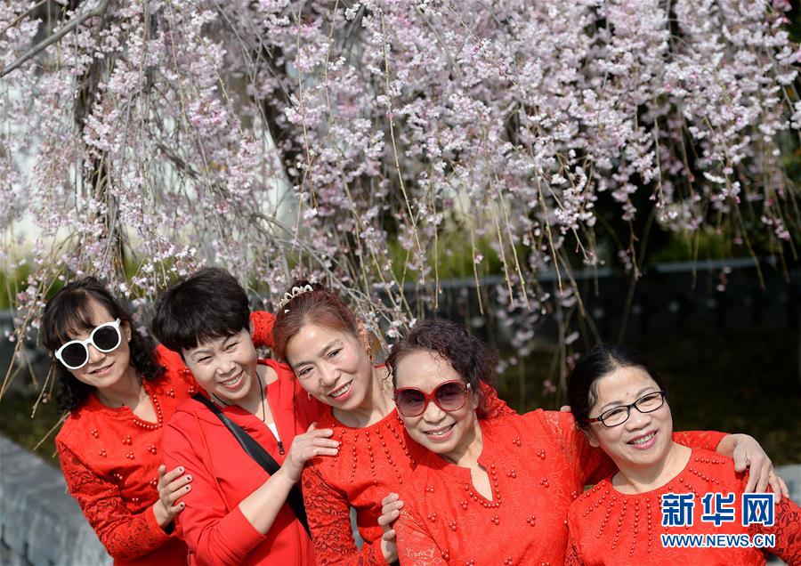 手機塔防戰(zhàn)略手游引薦 挑選不同小兵