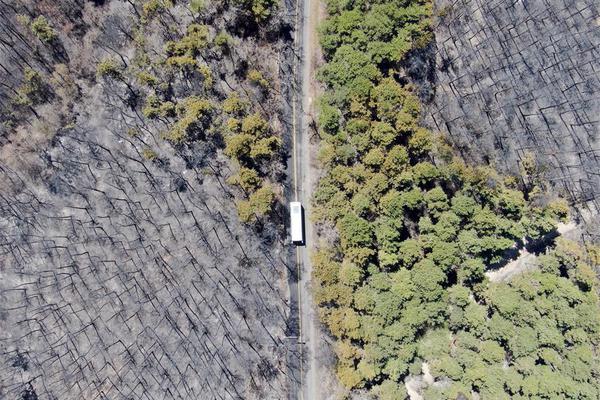 德勞倫蒂斯：希望得到主場(chǎng)99年使用權(quán)