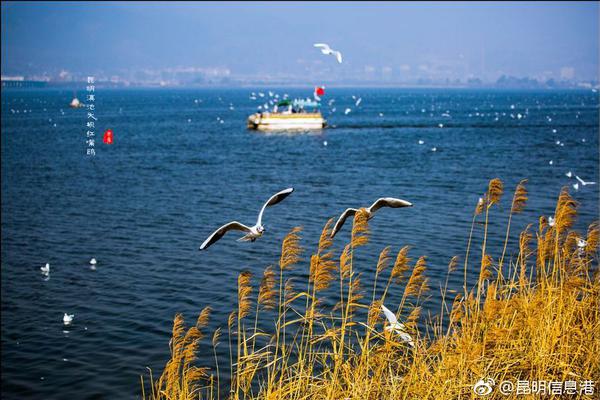 全民參賽，競(jìng)逐冠軍!《高能英豪》電競(jìng)?cè)攴桨刚桨l(fā)布