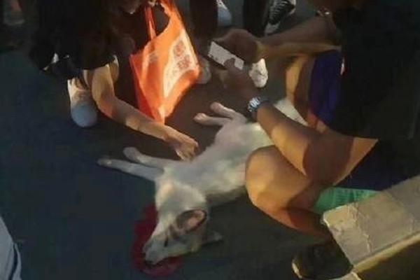 2023年好玩的放置冒險(xiǎn)手游引薦 放置是首要玩法