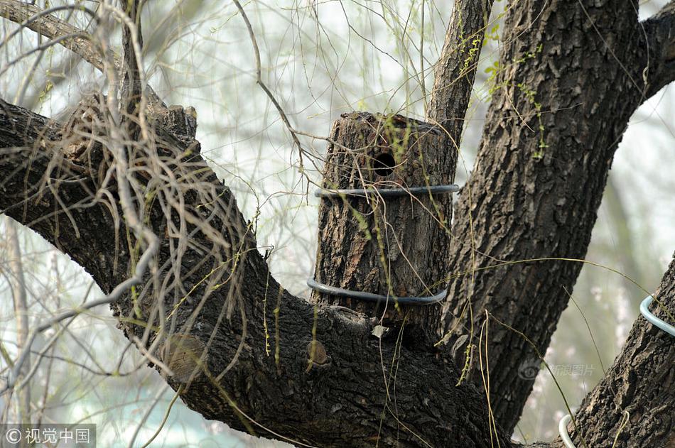 望?？敌懦天先A：以O(shè)DR為核心構(gòu)建面向價值醫(yī)療的醫(yī)院智慧運(yùn)營管理