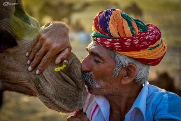 win10 10532更新了什么 win10 10532更新概況