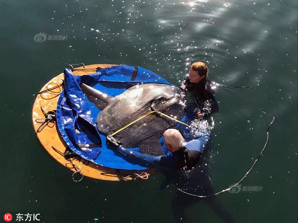 一加手機(jī)驅(qū)動(dòng)手動(dòng)裝置教程 一加手機(jī)驅(qū)動(dòng)裝置具體圖解