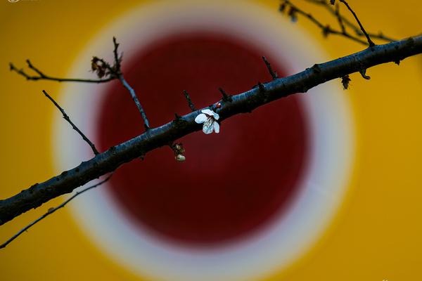 IE縫隙導(dǎo)致Half