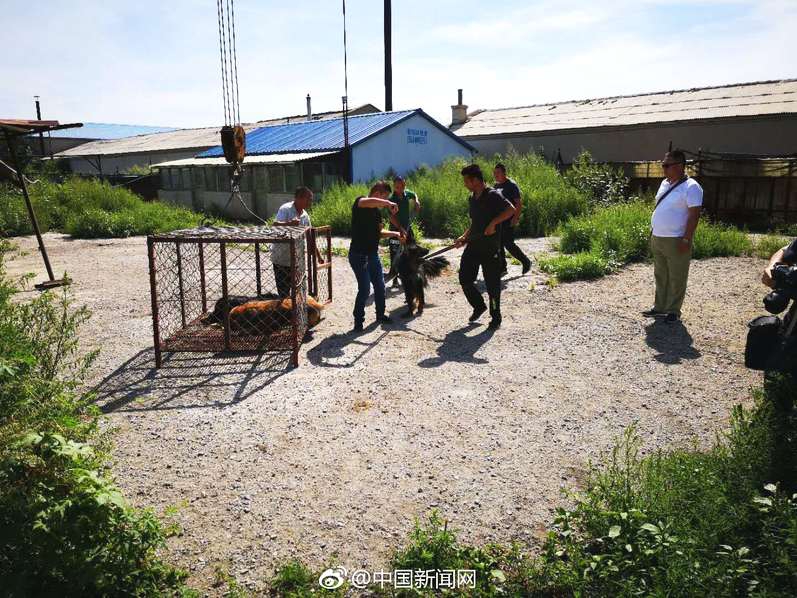 三國(guó)殺OL蜀中篇再度來(lái)襲 首屆牌王賽劍拔弩張