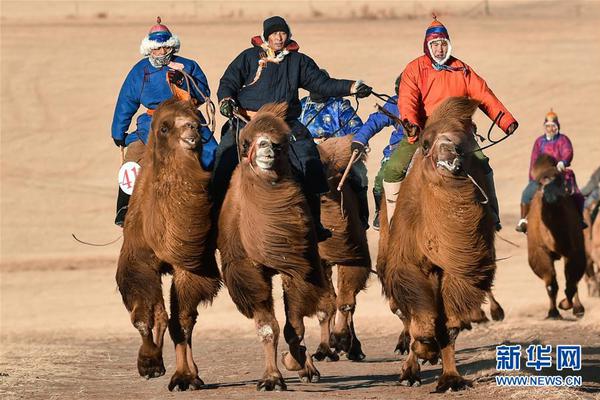qq旋風離線下載怎樣運用教程