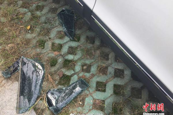 央視頻怎樣下載到電腦上 央視頻app怎么下載到電腦上