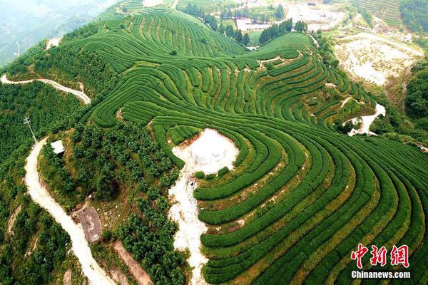 曝青島隊已補(bǔ)發(fā)部分欠薪 只為激勵球員全力打好保級大戰(zhàn)