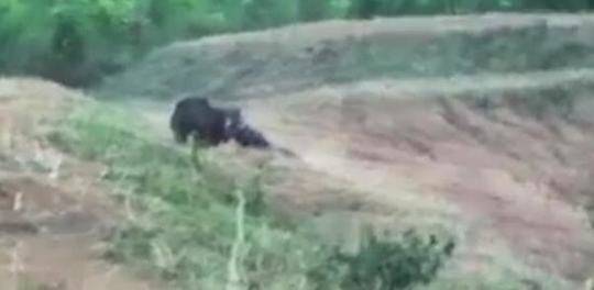 蒙克：追夢的舉動激勵了我們 這就是追夢&我沒什么好說的