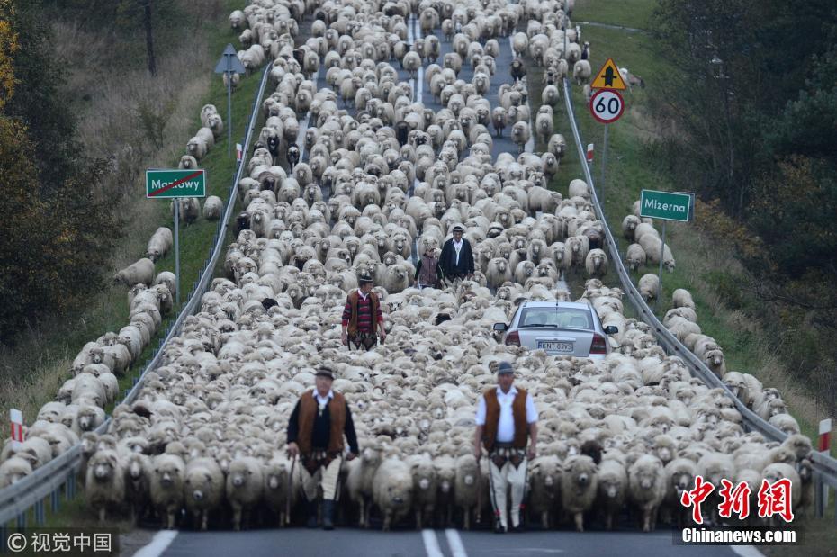 德約科維奇和納達(dá)爾誰兇猛？德約科維奇為什么叫德雞？