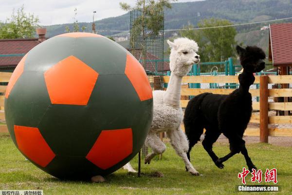 1v1全新賽制《魔域手游》2023年跨服軍團(tuán)戰(zhàn)打響！