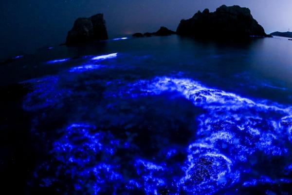 記者：米蘭十分賞識圣馬克西曼，容易帶過無實質性發(fā)展