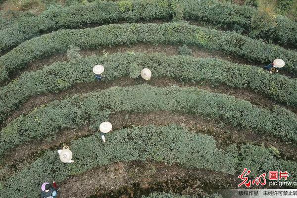 完美處理app store打不開,不能下載,或許同步時備份卡住不動