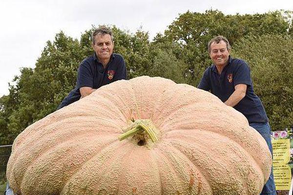 優(yōu)化內(nèi)存利器RAM Idle使用指南