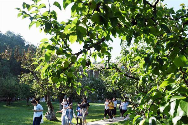 昂達(dá)發(fā)布贏取我國(guó)榜首塊915P主板獲獎(jiǎng)名單