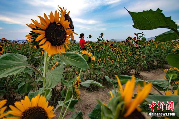 Total Control電腦操控手機(jī)軟件怎么進(jìn)行腳本的錄制與修改