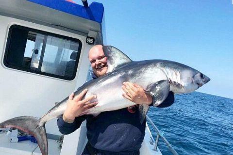 wps工具欄怎樣調(diào)出來  wps怎樣調(diào)出工具欄