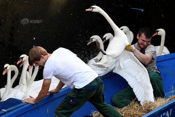 Yummy教你用美圖秀秀做膠片反轉(zhuǎn)片
