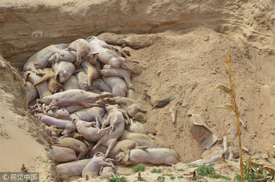 Google查找技巧解析