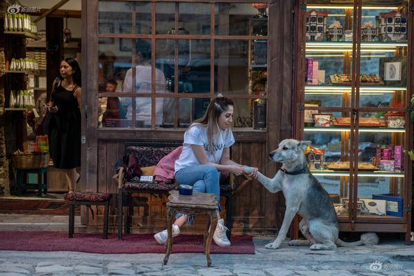 東契奇：我并不是成心做那樣的動(dòng)作