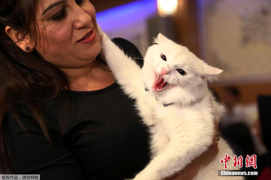 關(guān)卡豐厚的魔性搞笑闖關(guān)游戲引薦 開開腦洞才干通光