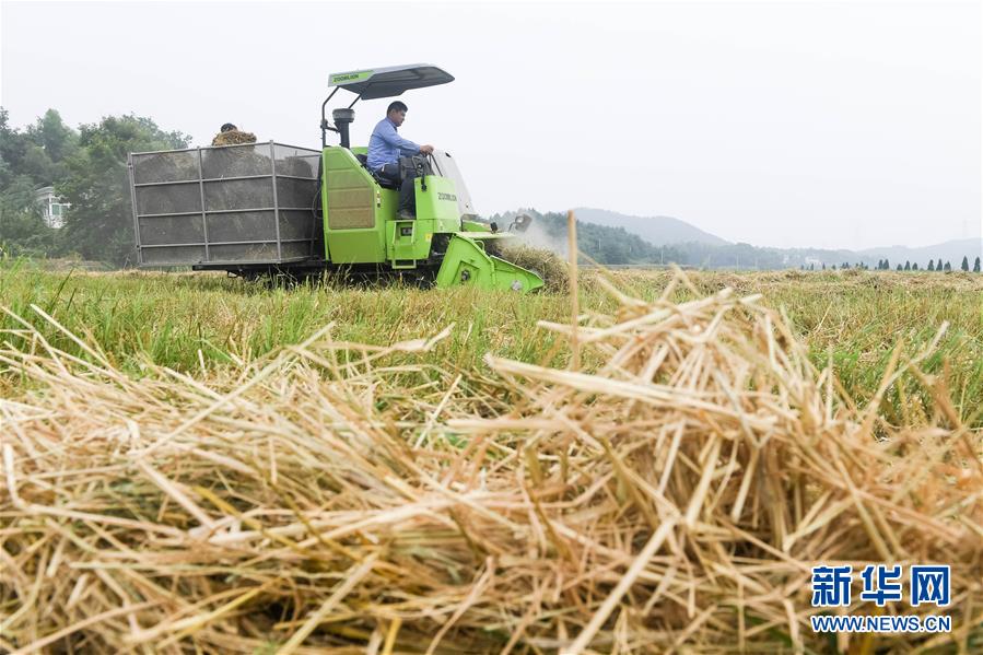 不氪金也能變強(qiáng)《傳奇聯(lián)萌》老司機(jī)Carry大法