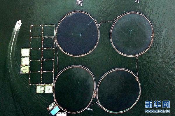 IE受IIS縫隙牽連,XP SP2 RC2有免疫力