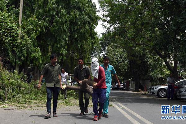 地鐵模擬經(jīng)營(yíng)《迷你地鐵》年末登陸IPad