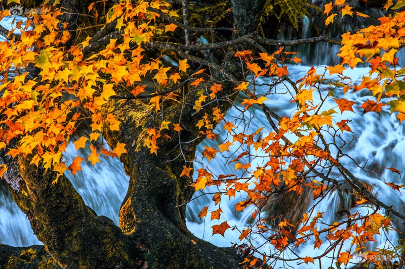 ZVolume Pro：體系音量安全操控