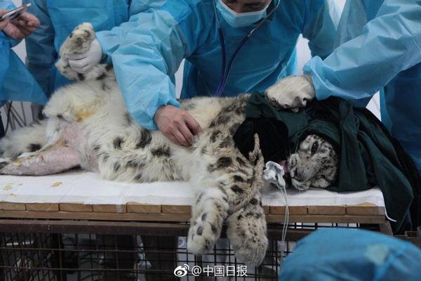 硬盤分區(qū)圖解步步通(1)