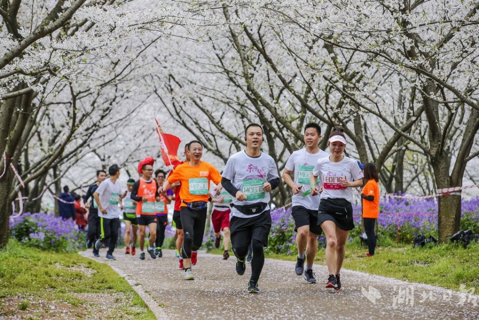 科幻題材策略作《傭兵入侵》登陸iOS平臺(tái)