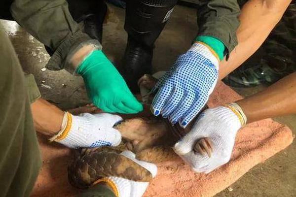 《網(wǎng)易棋牌》避暑夏至福利放送中，玩走運尋寶贏取清涼好禮！