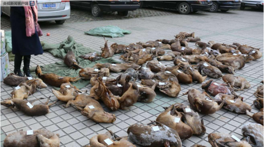 微信怎么看老友在不在線