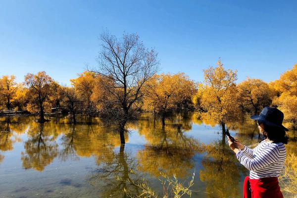 《魔域口袋版》全球聯(lián)賽火力全開 軍團跨服劍指巔峰榮耀！