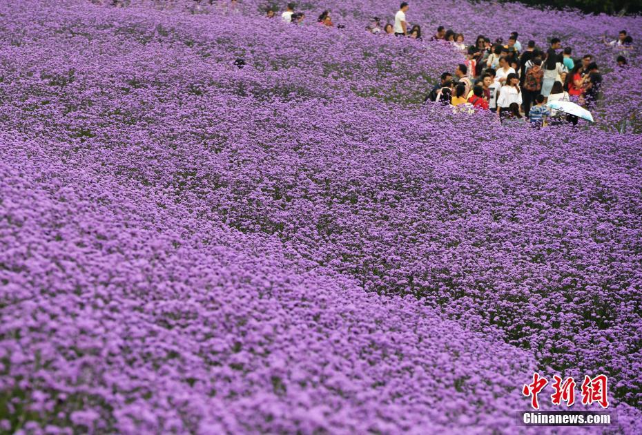 佳能R100微單相機 3699到手價大降價