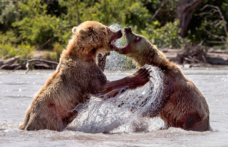 微軟 Win11 KB5030219 更新致電腦出現(xiàn)性能問題，影響《星空》等游戲