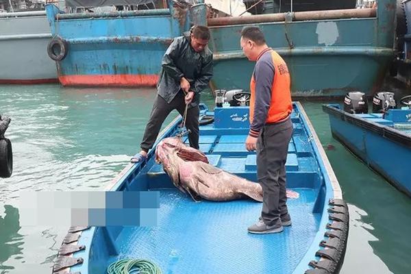 貝恩：一旦我可以上場打38分鐘了，就證明我現(xiàn)已康復