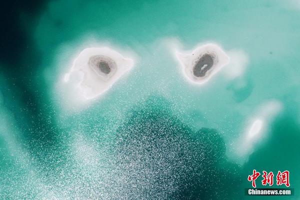 杰弗森：若布羅格登可以協(xié)助綠軍削減失誤 他們就能贏下更多競(jìng)賽