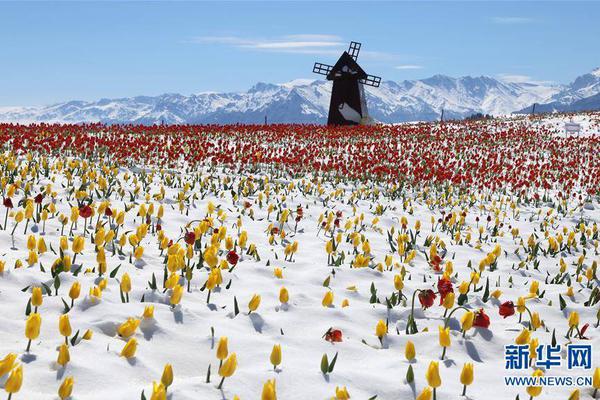 齊魯證券掌e通(中泰齊富通)7.13.2151 官方安卓版 手機(jī)證券