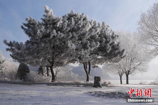 美圖秀秀背光相片修正 亮出你的絢爛笑臉！