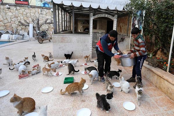 端游轉(zhuǎn)戰(zhàn)手游究竟怎樣才能不失利？《魔力寶貝覺(jué)悟》是標(biāo)準(zhǔn)答案