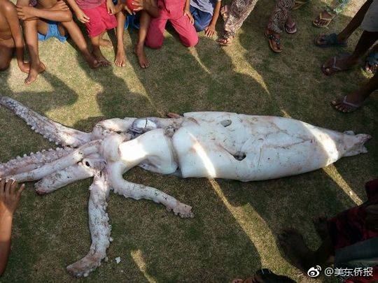 iSpeak怎樣創(chuàng)立頻道  iSpeak頻道怎樣辦理