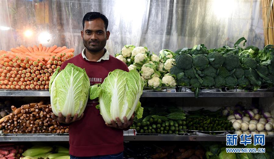 手機愛情劇情手游引薦 依照劇情走